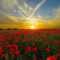 untitled design (21)