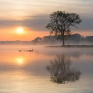 untitled design (30)